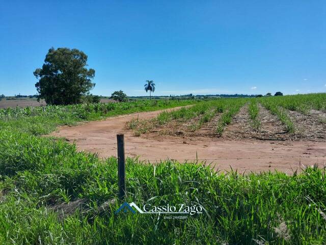 #AR1001 - Chácara para Venda em São Carlos - SP - 2