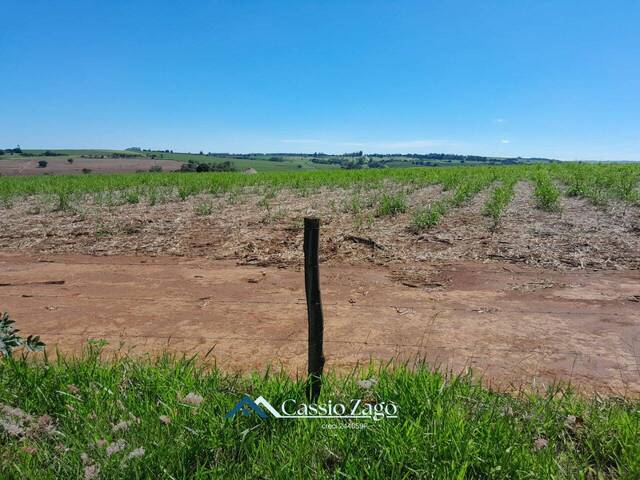 Venda em Área Rural de São Carlos - São Carlos