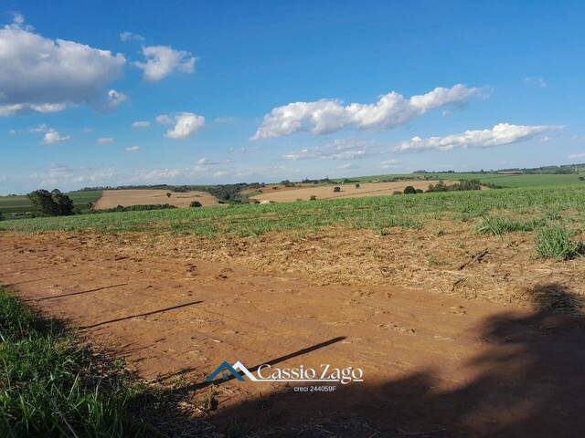 #AR1001 - Chácara para Venda em São Carlos - SP - 3