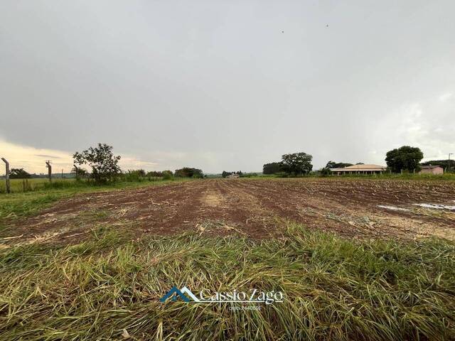 #AR1002 - Chácara para Venda em São Carlos - SP - 2