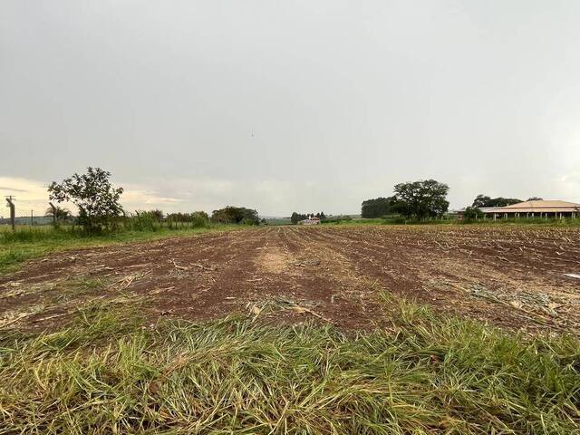 #AR1002 - Chácara para Venda em São Carlos - SP - 3