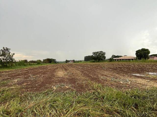 Chácara para Venda em São Carlos - 4