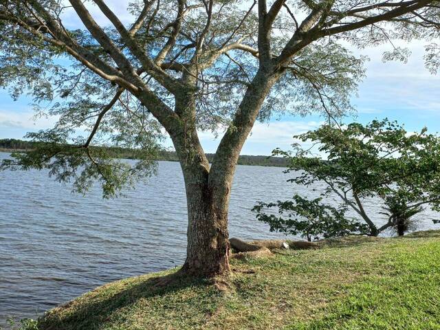 #AR1003 - Chácara para Venda em Itirapina - SP - 1